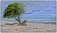 /album/galleria-fotografica/schermata-2014-07-13-alle-23-04-46-jpg/